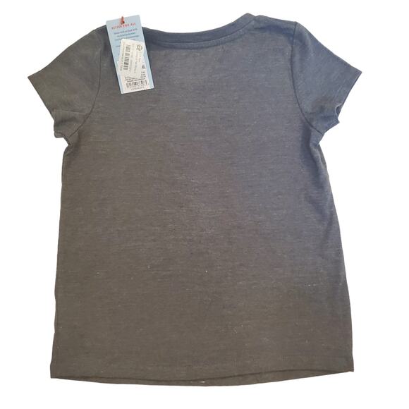 Super Amazing Sister TShirt Classic Heather Gray with Gold Accents Size 5T - Picture 7 of 8